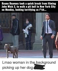 John wick was featured in fortnite battle royale back in season 3 as a battle pass exclusive skin. Not Just Another Pitbull This Is John Wick S 9gag