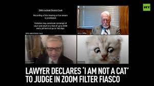 I have tried snap camera but that does not seem to have it. Lawyer Declares I Am Not A Cat To Judge In Zoom Filter Fiasco Youtube