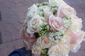 Argos - Consulta disponibilidad y precios