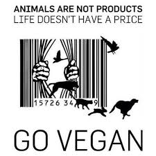 Human Freedom Animal Rights One Struggle One Fight Vegan Quotes Going Vegan Why Vegan
