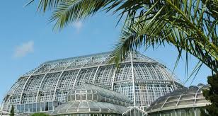 Botanischer Garten Und Botanisches Museum Berlin Berlin Welcomecard