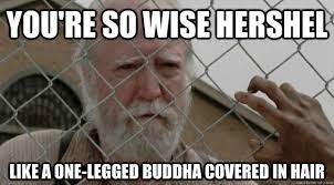 Hershel From The Walking Dead Memes Quickmeme