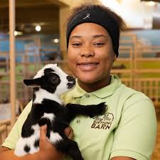 ATRACCIONES DE LA FERIA