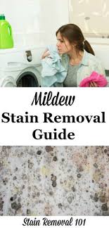 Mildew Stain Removal Guide Mildew Stains Stain Removal Guide Mildew Remover