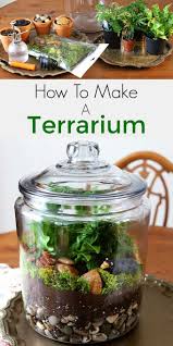 Easy Step By Step Instructions For How To Make A Terrarium Including The Best Terrarium Plants Supplies Needed And Terrarium Container Ideas In 2020 Best Terrarium Plants How To Make Terrariums