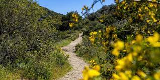Une promenade facile dans le massif des maures. Natur Soweit Das Auge Reicht Der Charme Der Provence Und Der Cote D Azur