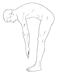 Maybe you would like to learn more about one of these? Exrx Net Common Orthopedic Flexibilities Issues