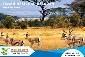 Wisata Jogja Sampang 62821 3919 8929 Mahakarya Travel And Tour Di 2020 Taman Nasional Instagram Taman