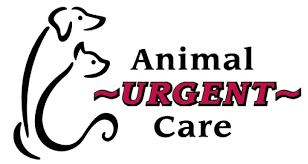 Occupational health we partner with many local businesses to provide a safe convenient avenue for employment screenings, workers comp, and routine physicals (such as dot physicals). Animal Urgent Care Arvada Co