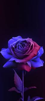 Download and use 50,000+ mobile wallpaper stock photos for free. Flowers Wallpapers For Mobile Free Download Great Love Art