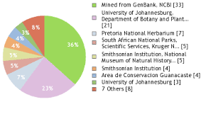 Image result for Urochloa xantholeuca