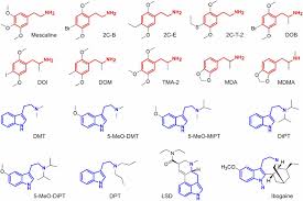 At low doses, hallucinogenic drugs have as their primary effects perceptual distortions and alterations of thought, or mood. Frontiers The Varieties Of The Psychedelic Experience A Preliminary Study Of The Association Between The Reported Subjective Effects And The Binding Affinity Profiles Of Substituted Phenethylamines And Tryptamines Frontiers In