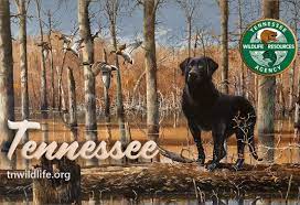 Buy your licenses at a license agent or at fish and game headquarters in concord. New Tn Hunting Fishing Licenses Now Available Clarksvillenow Com