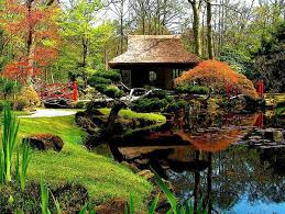 Japanes Garden L Park Clingendael L Den Haag L The Hague L Dutch L The Netherlands Zen Garden Design Japanese Garden Japanese Landscape