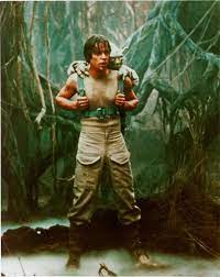 Bumped into luke during nice quiet walk yoda has… according to the factbook star wars: Star Wars Luke Skywalker Dagobah Minecraft Skin