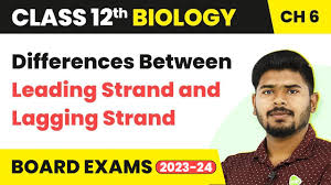 Difference Between Lagging And Leading Strand | Compare The Difference  Between Similar Terms