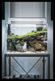 5 Fabulous Ideas For Landscaping With Rocks Akvaryum Baligi Aquascaping Planted Aquarium