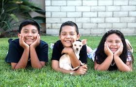 Rental assistance i would do babysitting, pet sitting etc in return. Welcome To Oc Animal Allies