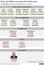 Image result for Bidens elliotii