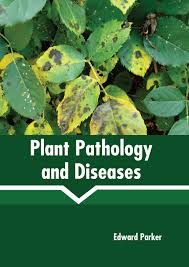 States Academic Press