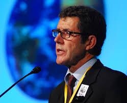 WWF: Halt to forest loss a key to stabilising climate