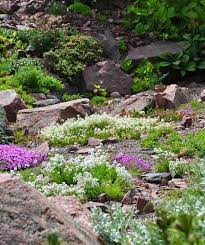 Three Dogs In A Garden The Rock Garden Part 3 Creative Ways To Use Texture Rock Garden Front Yard Landscaping Design Garden Landscape Design