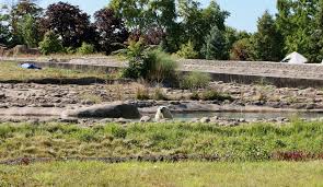 images?q=tbn:ANd9GcSLQbPv2sRA9lfo27vgQmAQDQAEqL5Ag5UlaA&usqp=CAU