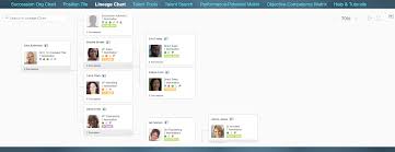 Lineage Chart V12 Overview And Getting Started Sap
