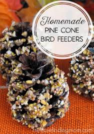 One pound of tallow will yield about six small/medium sized pine cone feeders. Easy Fall Crafts Using Pine Cones Homemade Pine Cone Bird Feeders