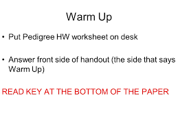 Genetics pedigree worksheet answer key huntington s disease collection #400287. Warm Up Copy The Notebook Info Into Your Notebook Table Of Contents March 19 Th 7 L 2 2 Pedigree Notes March 19 Th 7 L 2 2 Pedigree How Do Pedigrees Help Ppt Download