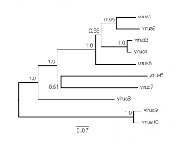 How To Read A Phylogenetic Tree Biology Resources Science Biology Phylogenetic Tree