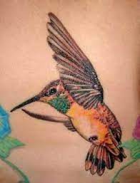 Hummingbird Tattoo Meanings Designs And Ideas Hummingbird Tattoo Hummingbird Tattoo Meaning Hummingbird Flower Tattoos