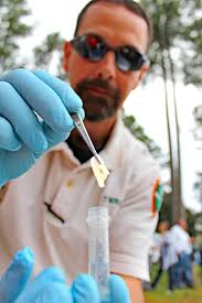 Big Florida Bass in Tennessee: Is the Experiment Working?