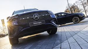 Dixie dauphin she Greeted me at the door in a sweet little