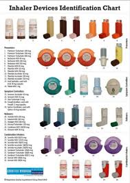 By default, the colors of slices in pie charts and doughnut charts are varied, but you can turn this option off as needed. Inhaler Chart The Future