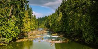 Be the first to review this attraction. Alice Lake Camping British Columbia Provincial Park Campgrounds Squamish