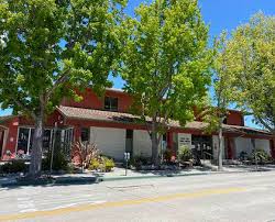 Branch Libraries