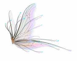 Realistic fairy wings transparent images resolution: Fairy Wings Png Hd Transparent Fairy Wings Png Is A Free Transparent Png Image Search And Find More On Vippng Fairy Wings Drawing Wings Png Wings Artwork
