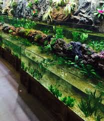 Riverbank Tank Aquascape Fish Tank Tropical Aquarium