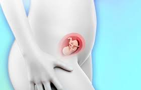 17 Weeks Pregnant Symptoms More
