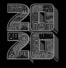 The first big spike in dictionary lookups for pandemic took place on. The 20 Phrases That Defined 2020 The New York Times