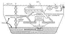 Image result for what part of the treatment is bod