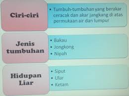 Ekosistem hutan bakau mempunyai rantaian & siratan makanannya yang tersendiri. Hutan Paya Geografi Tingkatan 1