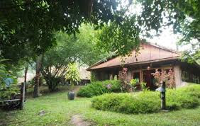 Mr Doan S Homestay