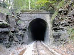 Pin On Woodland Scenic Diorama