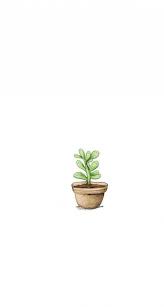50 New Ideas Plants Drawns Wallpaper Plant Wallpaper Simple Wallpapers Minimalist Wallpaper See more ideas about aesthetic pictures, aesthetic, pictures.