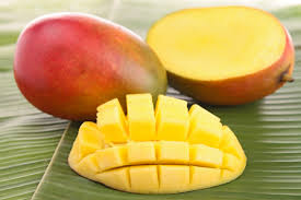 Image result for mango fruit