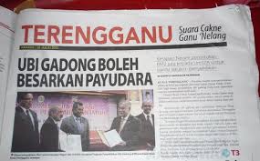 Cerpen Kahwin Paksa Dengan Tengku Ego