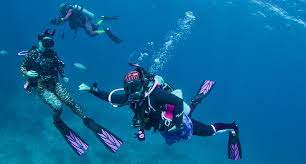 Do you know how old you have to be to get certified? Become A Scuba Diver Benefits Of Scuba Diving Montclair Ca