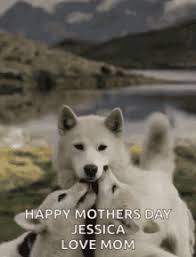 Celebrate mother's day with a selection of crafts, decorations & gifts for mom. Mothers Day Dog Gifs Tenor